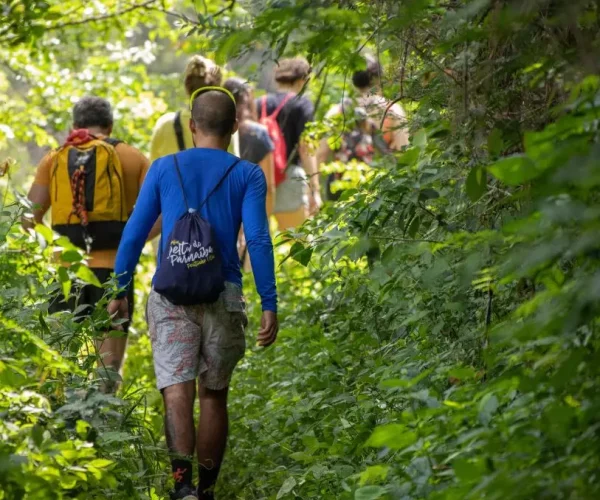 AnyConv.com__Design sem nome (25)